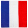 Bandana drapeau France